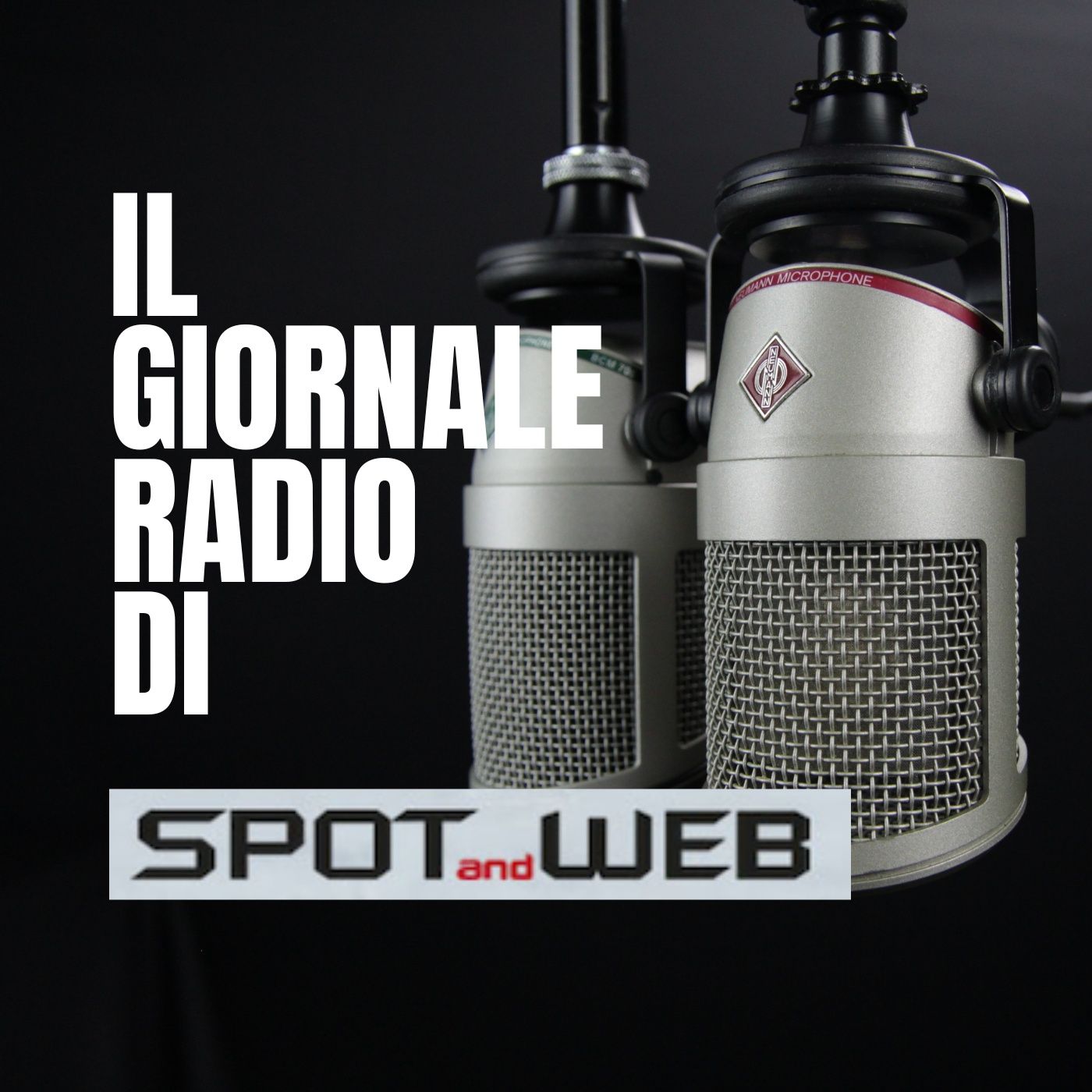 Il GR di Spot and Web del 28 febbraio episode artwork